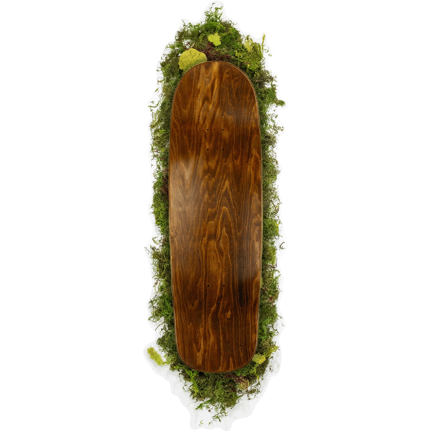 Sapient "G" Shaped Deck (9.875)