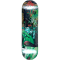 Plateau Blue Man Group Can Dunk Deck (8.25)