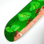 Snack Leafcutter Deck (8.5)