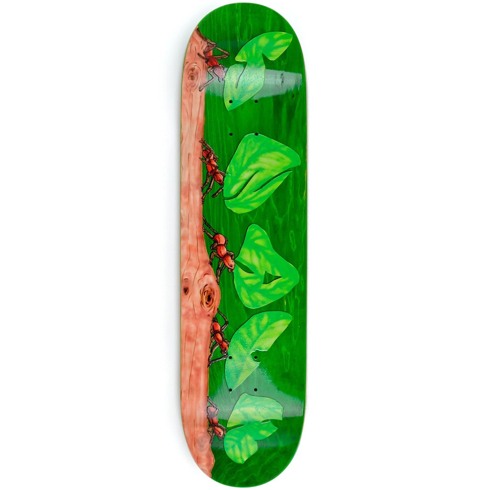 Snack Leafcutter Deck (8.25)