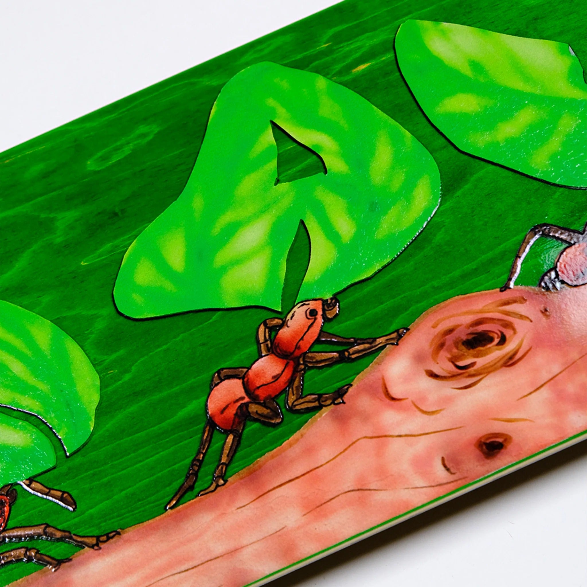 Snack Leafcutter Deck (8.25)