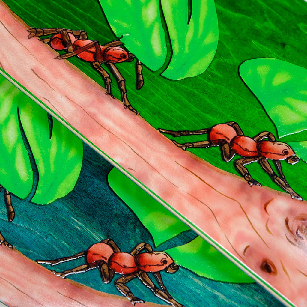Snack Leafcutter Deck (8.5)