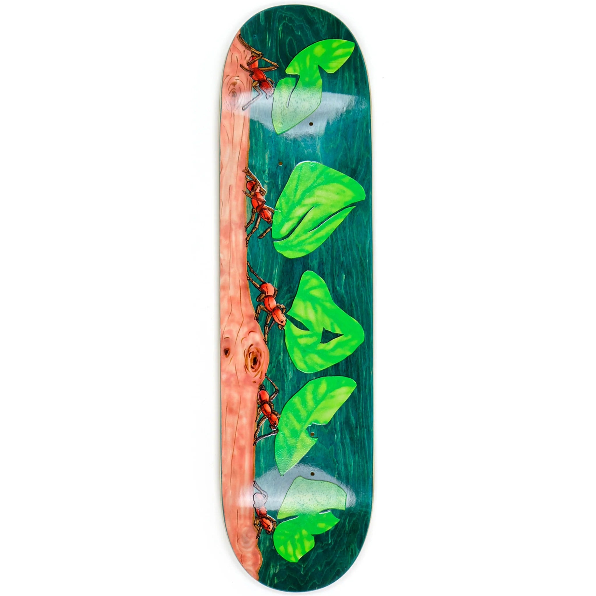 Snack Leafcutter Deck (8.25)