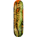 Real Zion Swamp Puppy Heavyweight Deck (8.28)